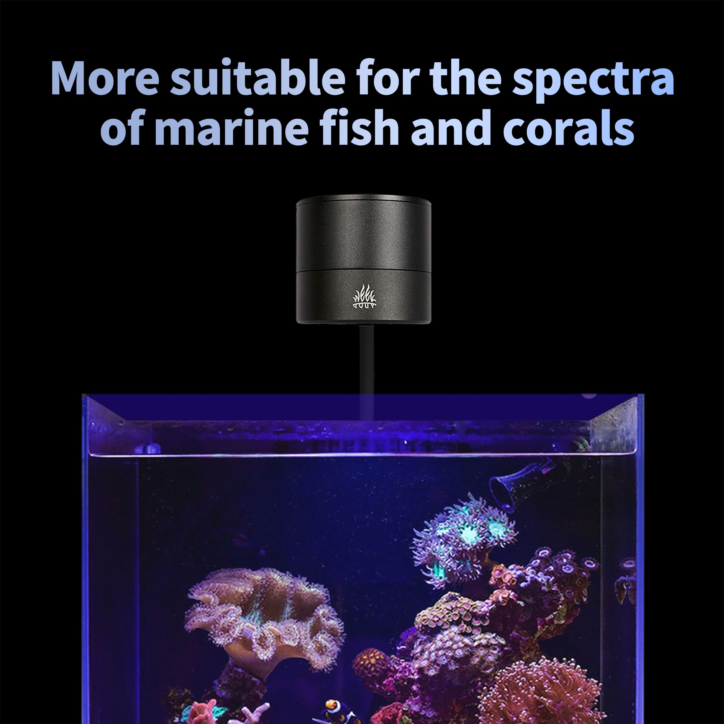 Marine Aquarium Timing - T95 Sea 50W Full Spectrum Marine