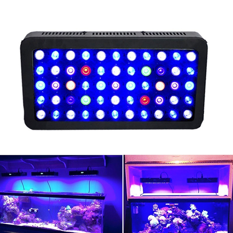 165W Aquarium Light Smart WIFI - đánh giá và giá Marine Aquarium Timing
