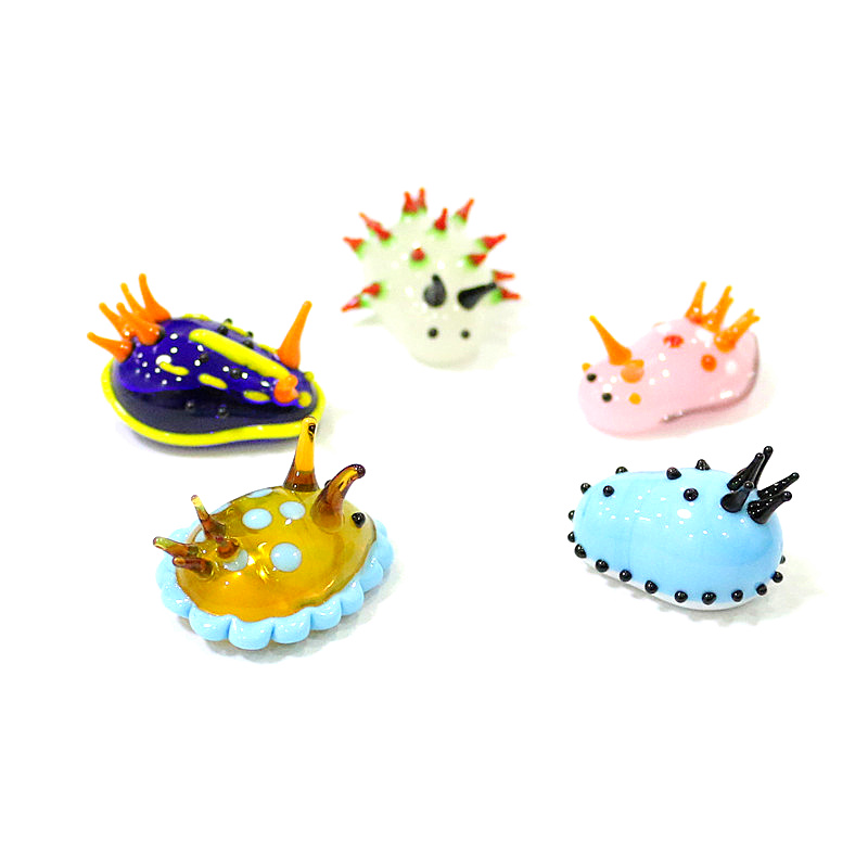 Rare Cute Mini Marine Molluscs - đánh giá và giá Marine Aquarium Japan