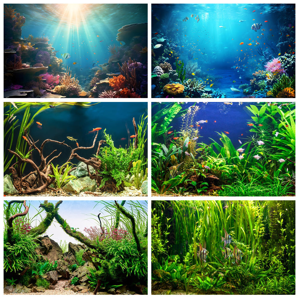 Under Sea Seabed World Photogr - đánh giá và giá Aquarium Marine World