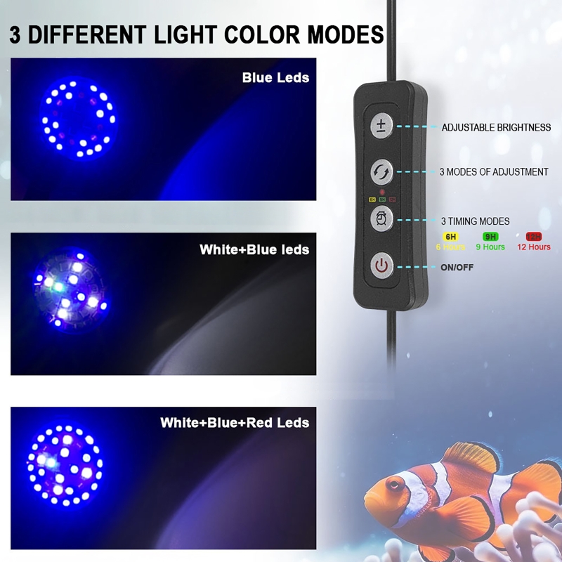Aquarium LED Reef Light Seawat - đánh giá và giá Marine Aquarium Timing