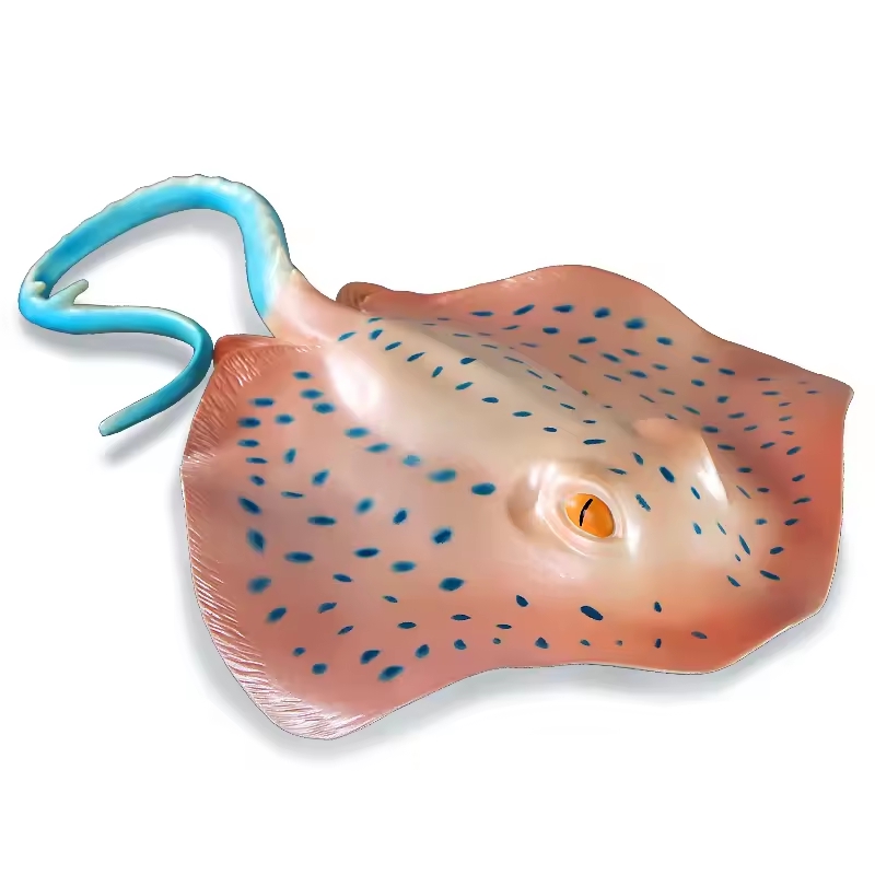 Simulation Marine Animal Model - đánh giá và giá Aquarium Marine World