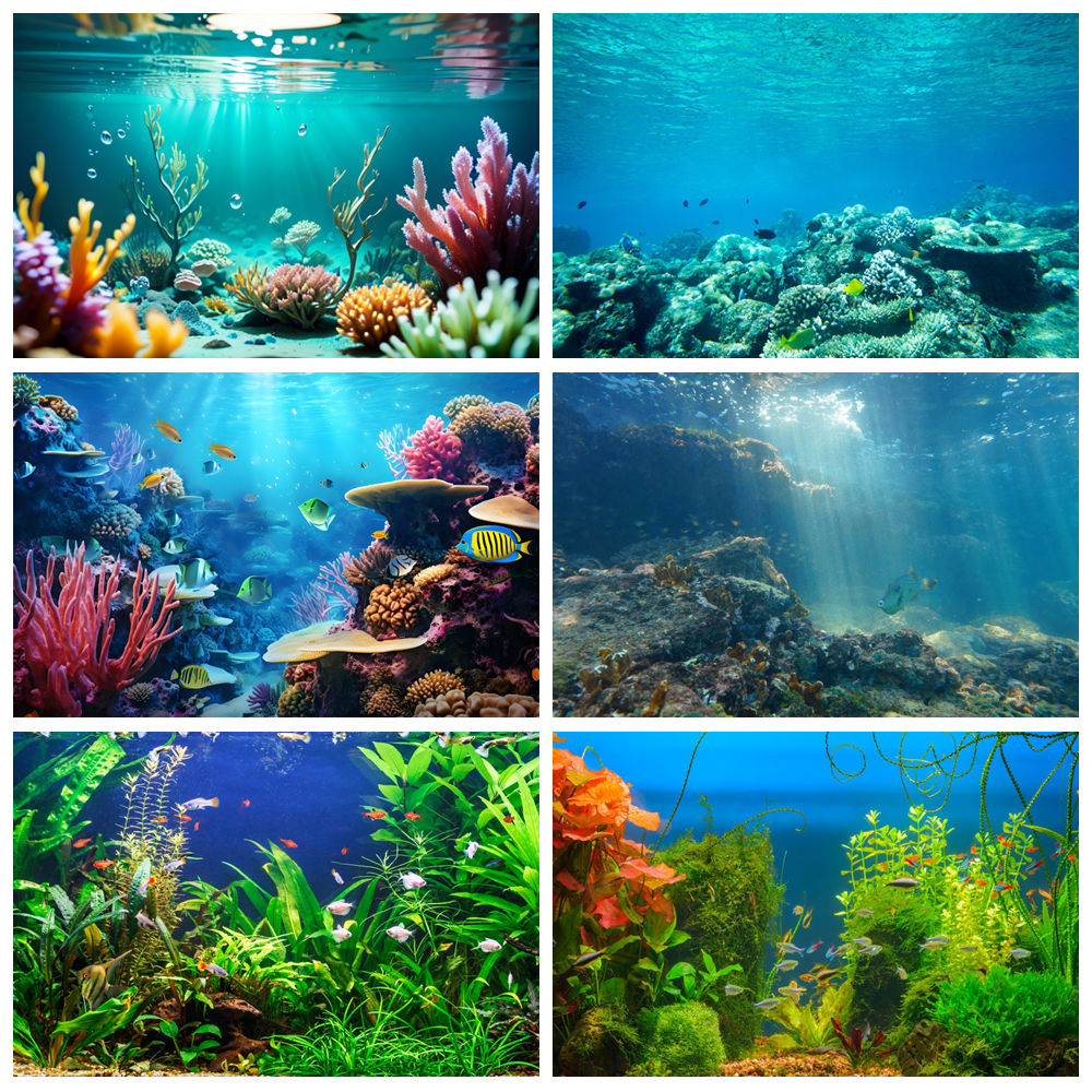 Underwater World Seabed Photog - đánh giá và giá Aquarium Marine World