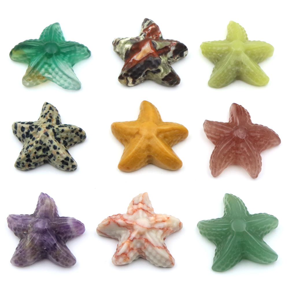 35mm Starfish Shape Statue Mar - đánh giá và giá Marine Aquarium & Regional Centre Reviews