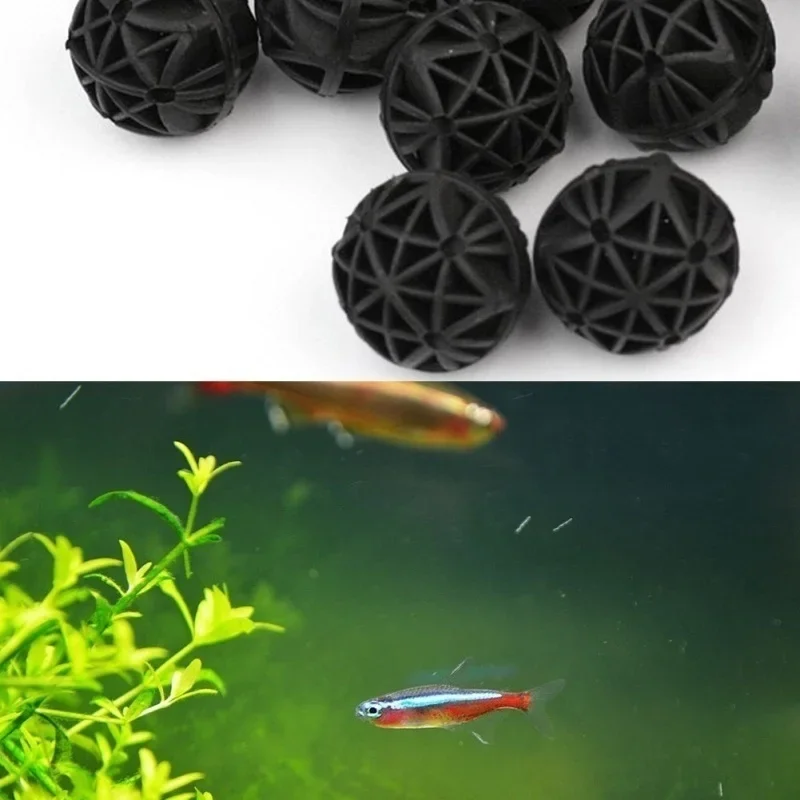 20Pcs 16mm Aquarium Filter Bio - đánh giá và giá Marine Aquarium & Regional Centre Reviews