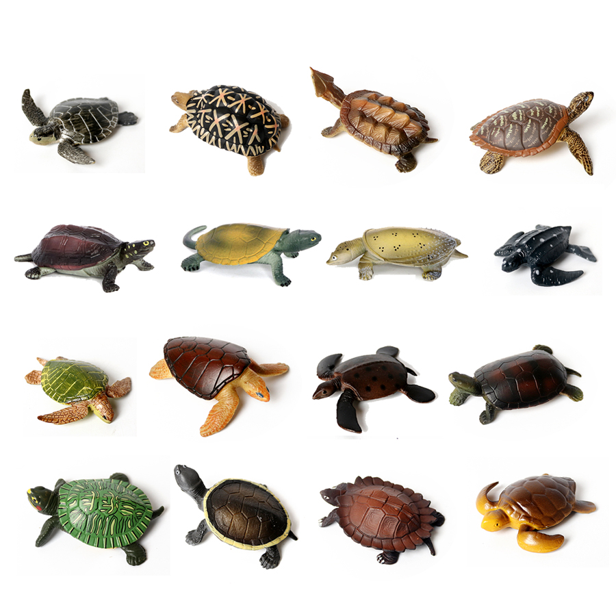 Thực Tế Bức Tiểu Họa Sinh Vật  - đánh giá và giá Marine Aquarium & Regional Centre Reviews